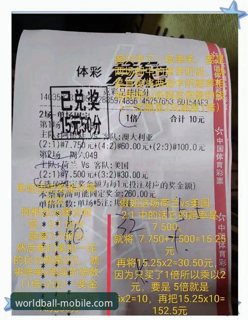新手必看！资深用户分享世界杯购彩App下载手机版实战经验与使用心得
